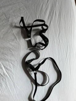 Bein Harness
