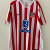 Camiseta Voetbalshirt Atletico Madrid Hancko