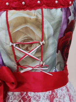 Dirndl rot Gr. S