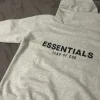 Essentials hoodie