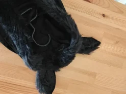Fledermaus Jacke mit Ohren