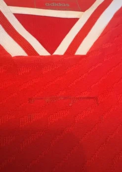 Fußballtrikot Benfica 23/24 Championsleague Gr. M trikot