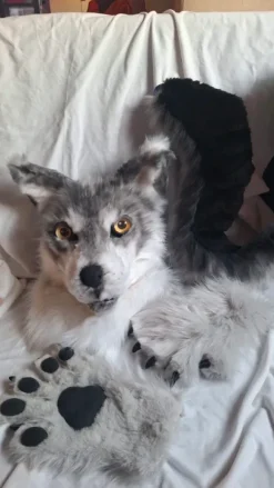 Fursuit commisions