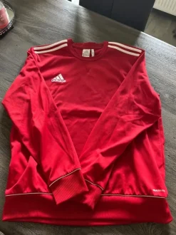 Jogginganzug Adidas