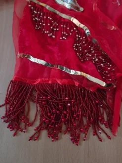 Komplettes Auftrittskostüm Bauchtanz, Bellydance, Fasching
