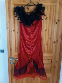 Kostüm Samtkleid mit Federbesatz