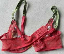 Stunning embroidered mesh bra