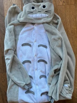 Totoro Onzie