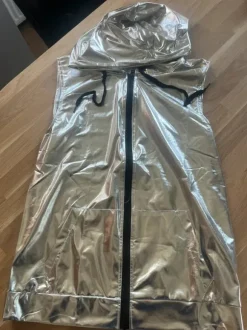 Zilveren feest kleding