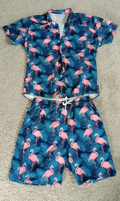 Zweiteiler/ Bluse/ Shorts
